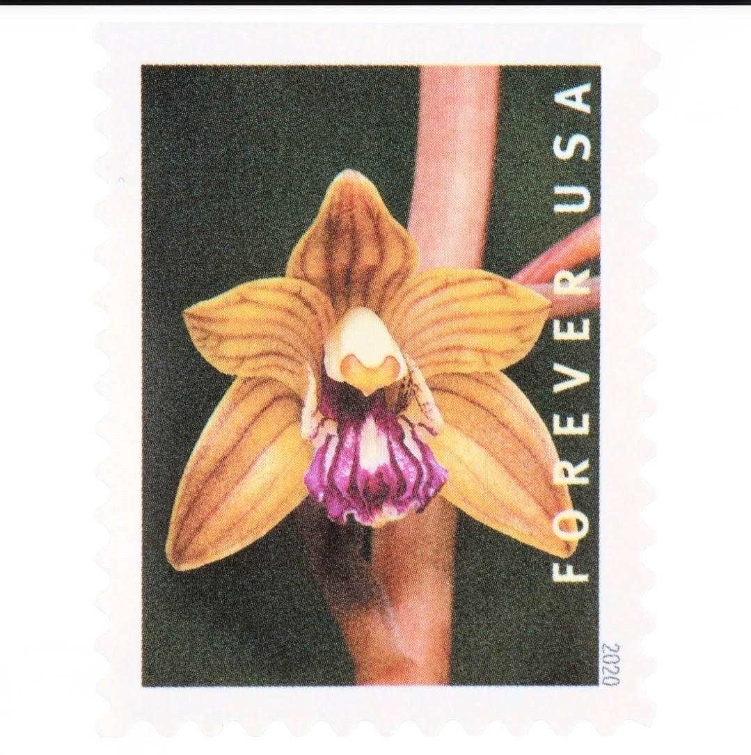 USPS 2020 Wild Orchids Forever Stamps Booklet of 20, Floral
