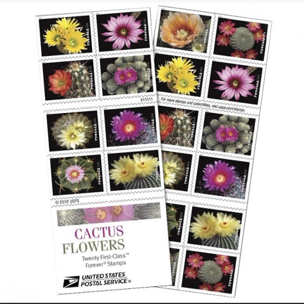 2019 Cactus Flower Forever USA Stamp Booklet Of 20, Multicolor