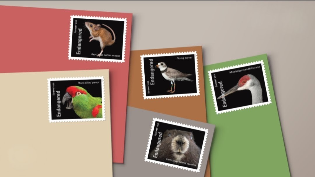 2023 Endangered Species Forever USA Stamp Sheet Of 20, Multicolor