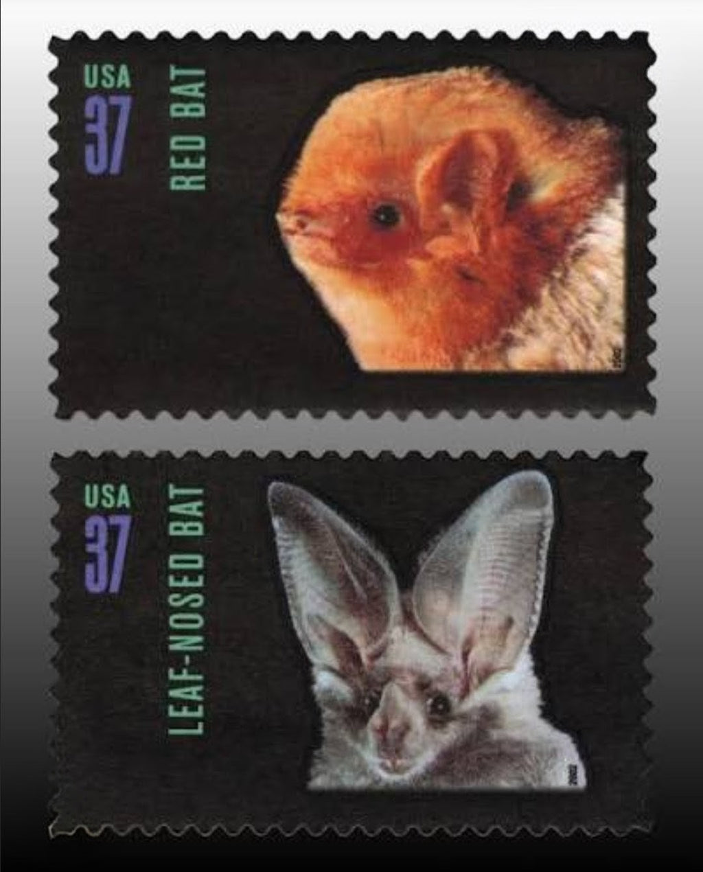 2002 Night Friends 37 Cents USA Stamp Sheet, Bats, Multicolor