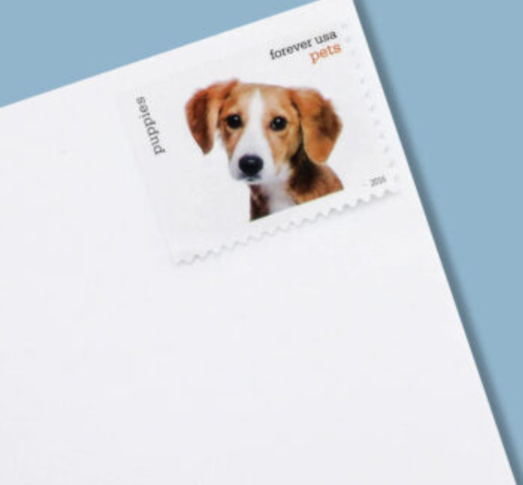 2016 PETS Forever USA Stamp Booklet Of 20, Multicolor