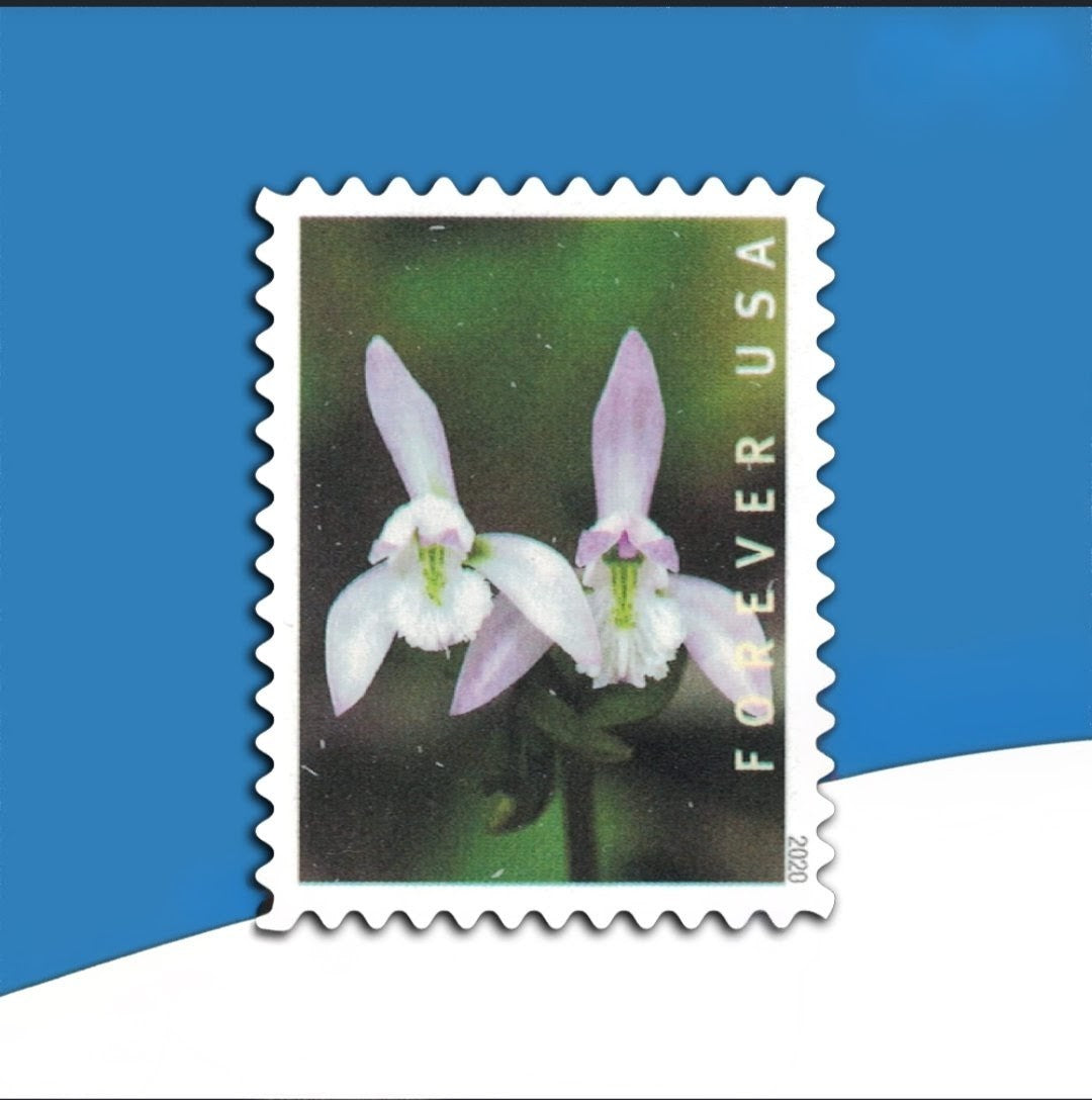 USPS 2020 Wild Orchids Forever Stamps Booklet of 20, Floral