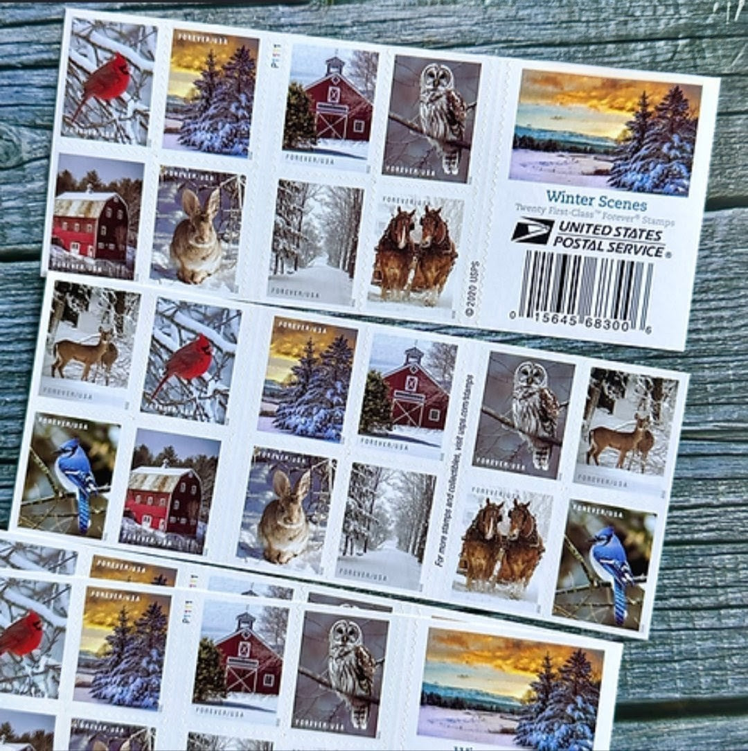 2020 Winter Scenes Forever USA Stamp Booklet, Multicolor