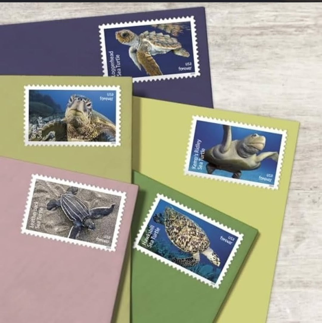 USPS 2024 Protect The Sea Turtles Stamps Sheet of 18, Ocean