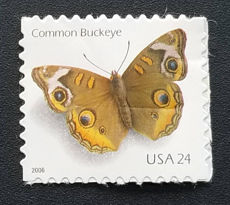 2006 Common Buckeye Butterfly 24¢ USA Stamp, 5 Booklets Of 10.