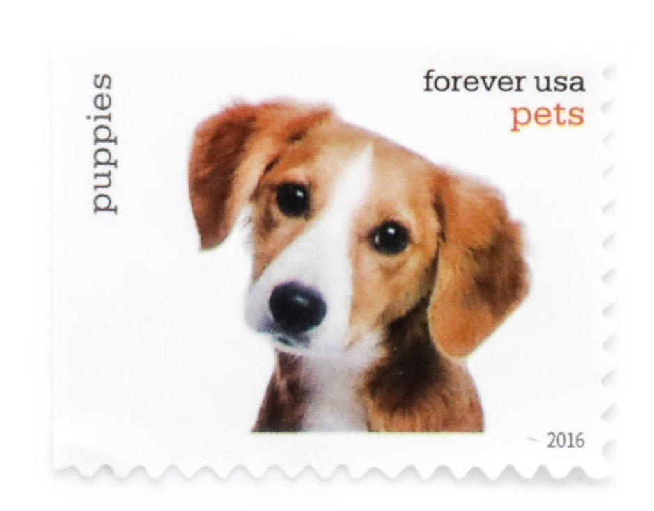 2016 PETS Forever USA Stamp Booklet Of 20, Multicolor