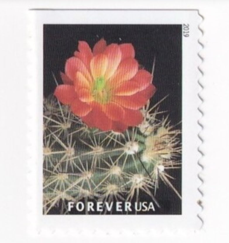 2019 Cactus Flower Forever USA Stamp Booklet Of 20, Multicolor