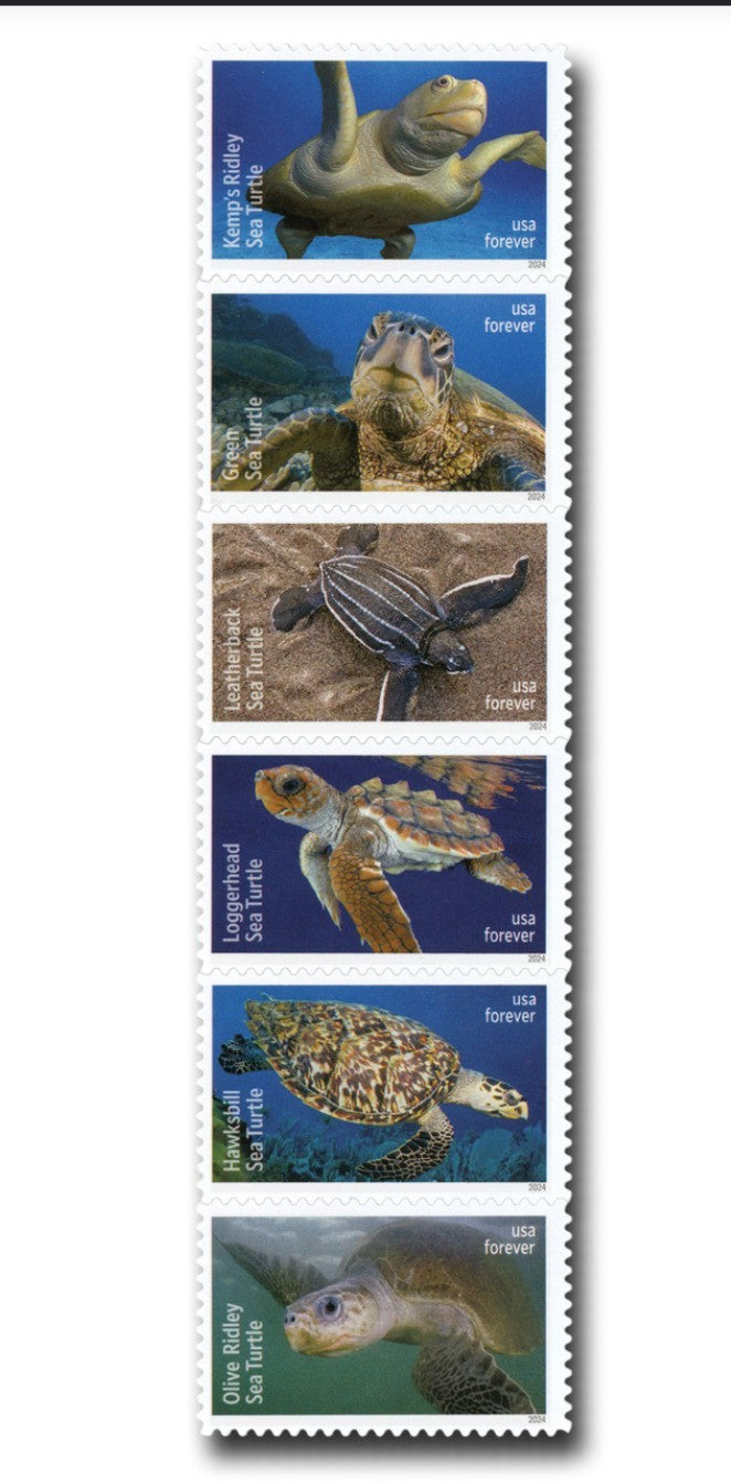 USPS 2024 Protect The Sea Turtles Stamps Sheet of 18, Ocean