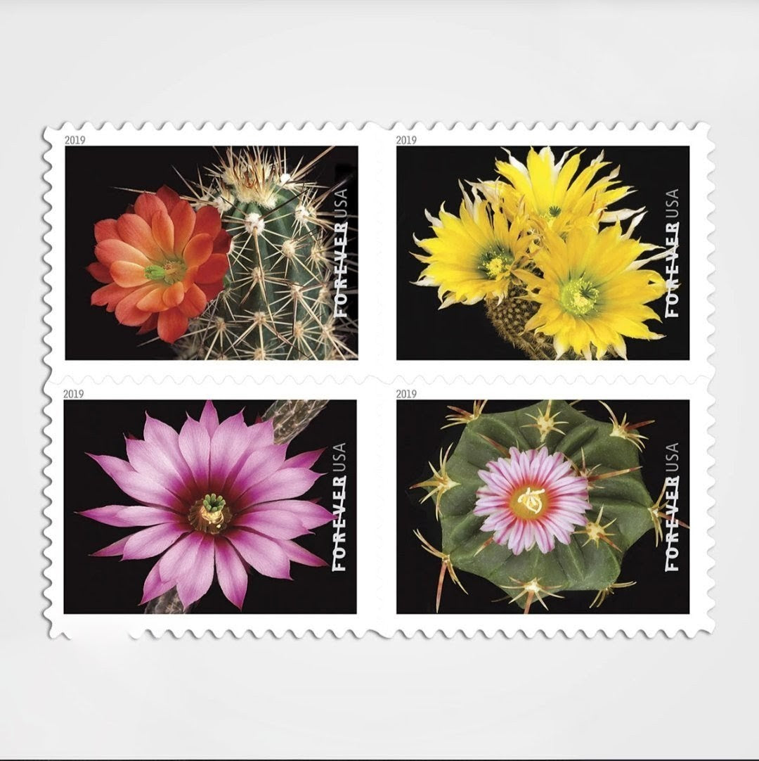 2019 Cactus Flower Forever USA Stamp Booklet Of 20, Multicolor