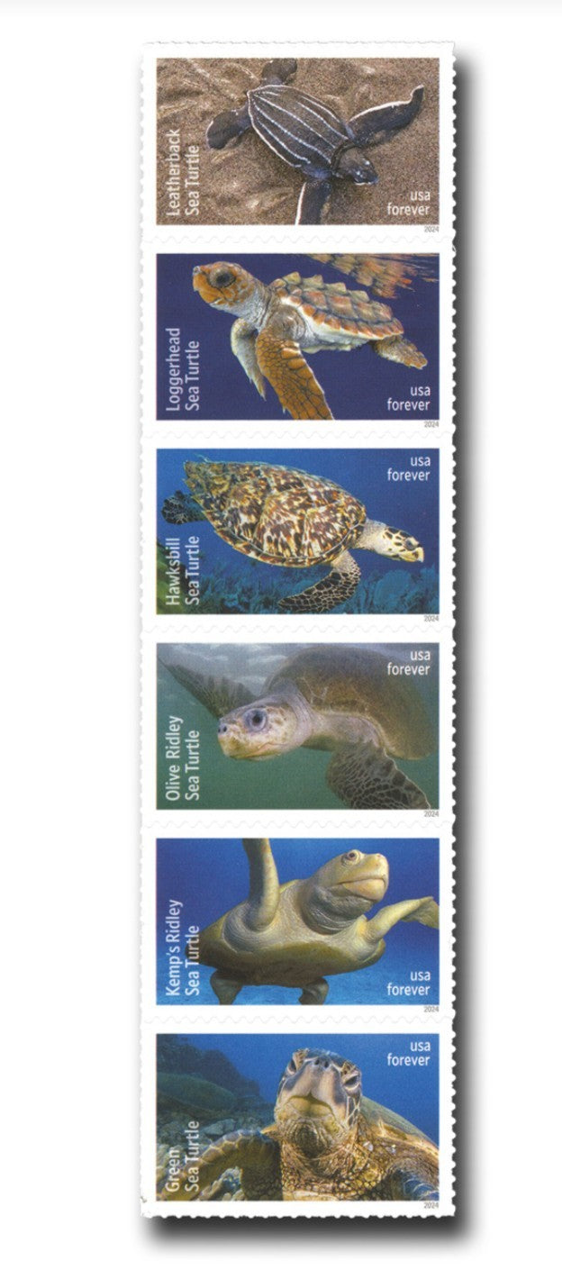 USPS 2024 Protect The Sea Turtles Stamps Sheet of 18, Ocean