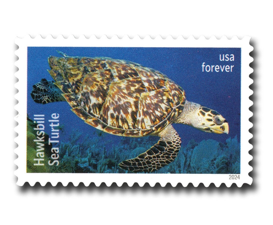 USPS 2024 Protect The Sea Turtles Stamps Sheet of 18, Ocean