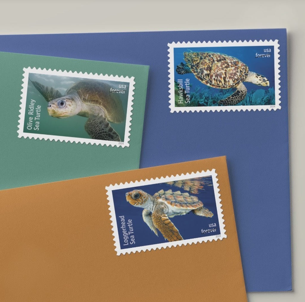 USPS 2024 Protect The Sea Turtles Stamps Sheet of 18, Ocean