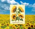 USPS 2026 Sunflowers Stamps Booklet of 20, Flower, Collectible