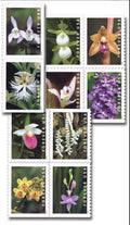 USPS 2020 Wild Orchids Forever Stamps Booklet of 20, Floral