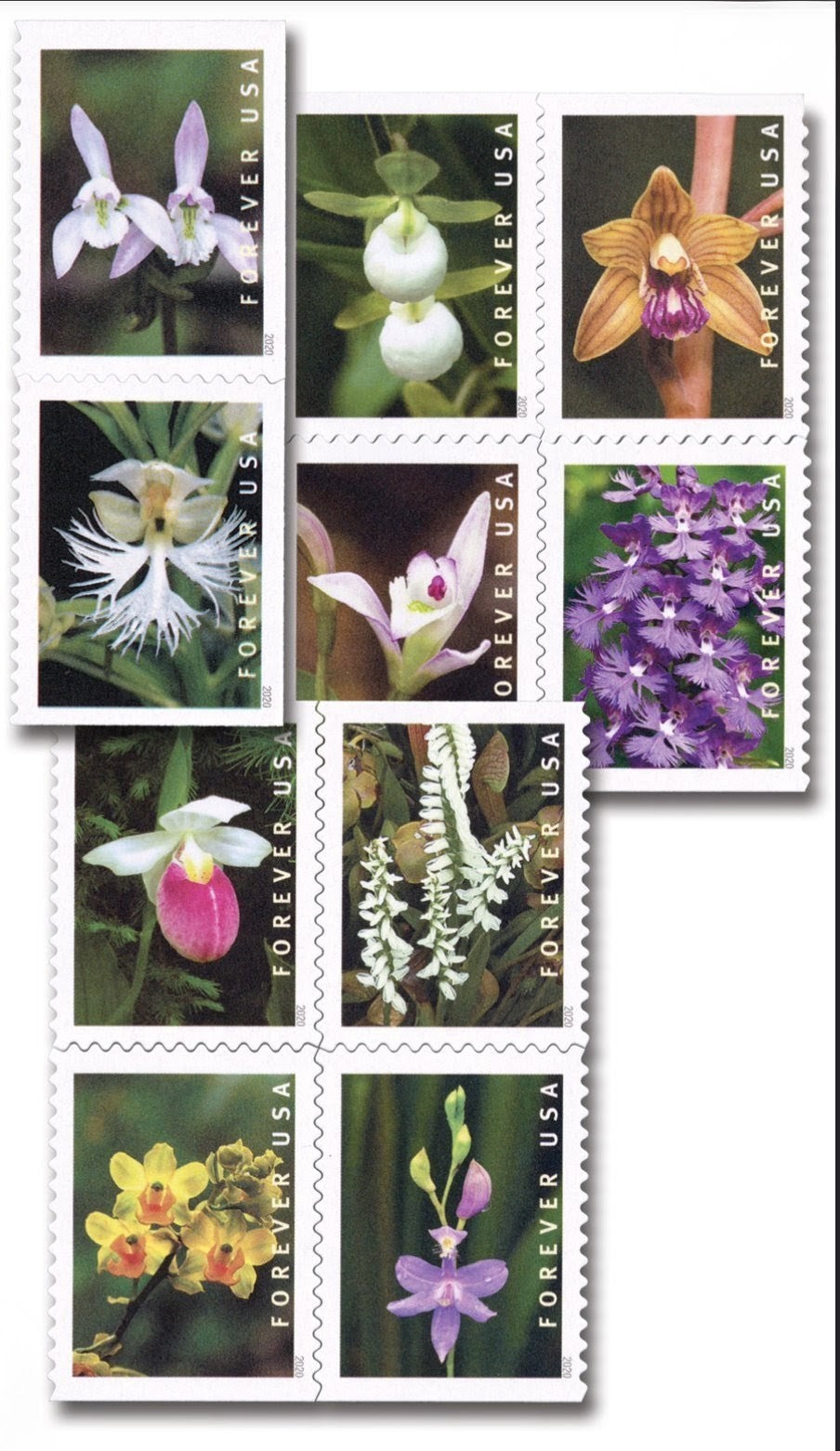 USPS 2020 Wild Orchids Forever Stamps Booklet of 20, Floral