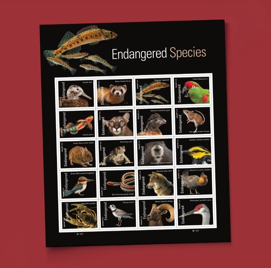 2023 Endangered Species Forever USA Stamp Sheet Of 20, Multicolor