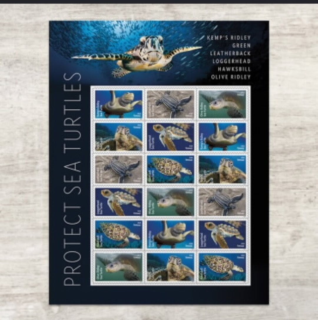 USPS 2024 Protect The Sea Turtles Stamps Sheet of 18, Ocean