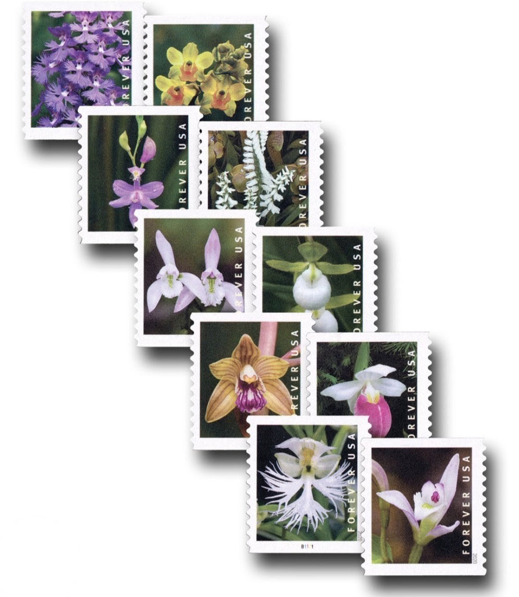 USPS 2020 Wild Orchids Forever Stamps Booklet of 20, Floral