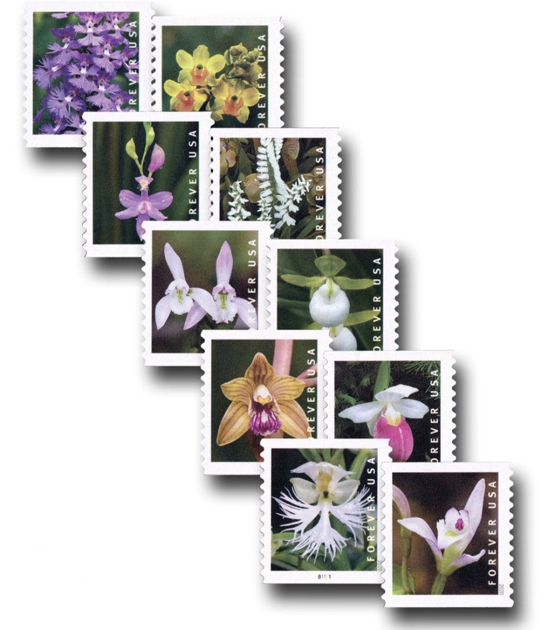 USPS 2020 Wild Orchids Forever Stamps Booklet of 20, Floral