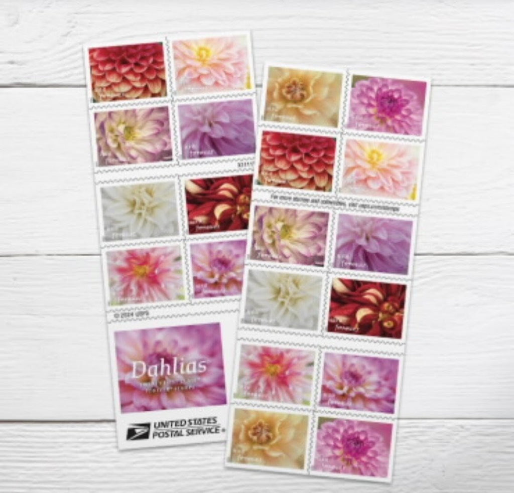 2025 Dahlia Forever USA Stamp Booklet Of 20, Multicolor
