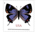 2021 Colorado Haistreak Butterfly Non-Machinable USA Stamp Sheet Of 20