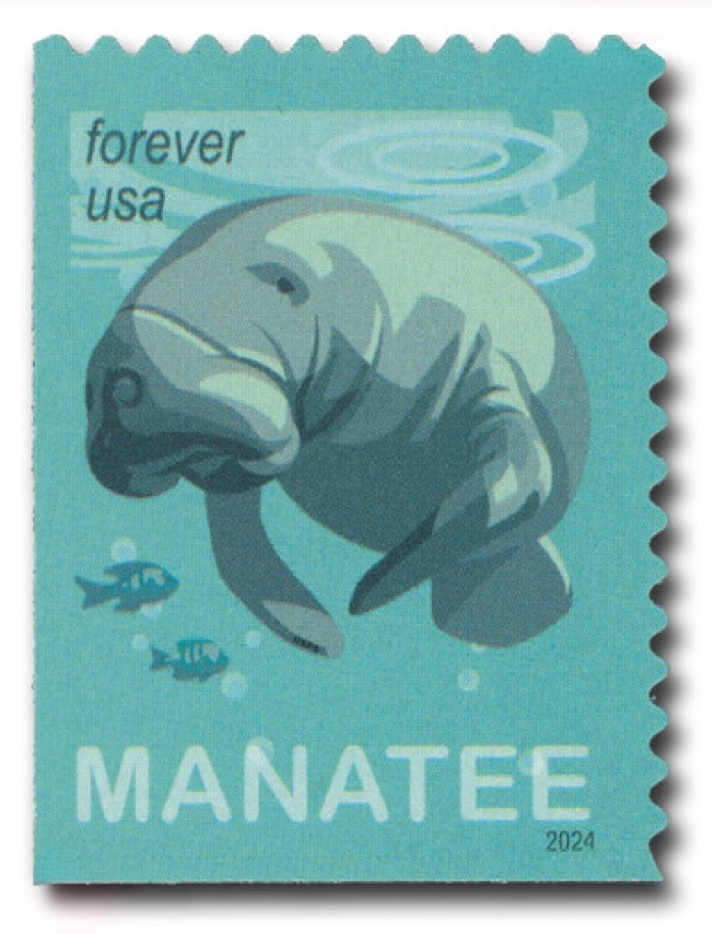 Save The Manatee