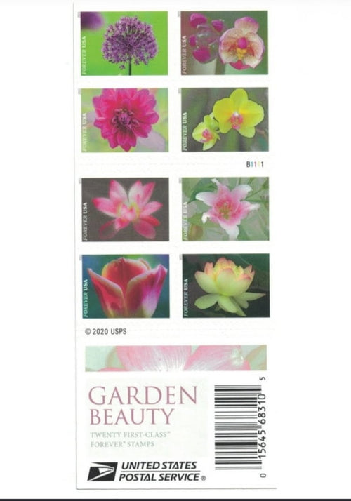 Garden Beauty