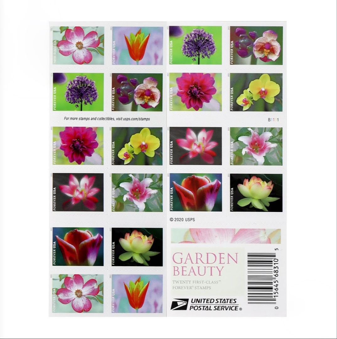 Garden Beauty