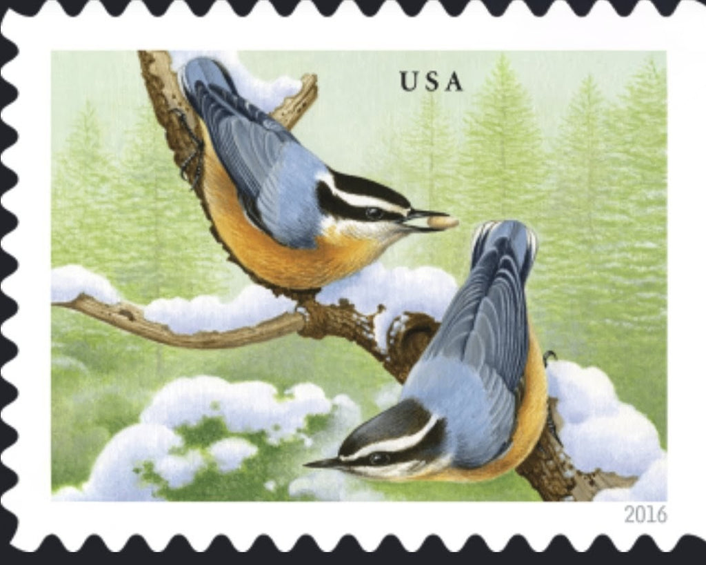 Songbirds
