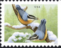 Songbirds