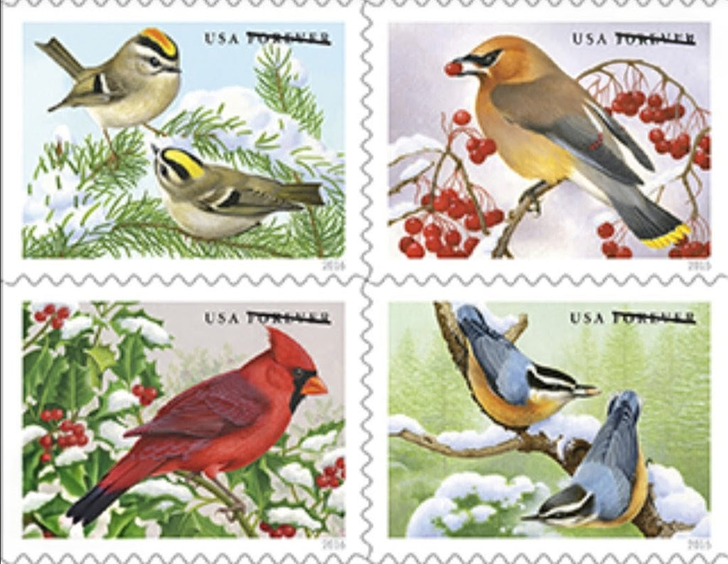 Songbirds